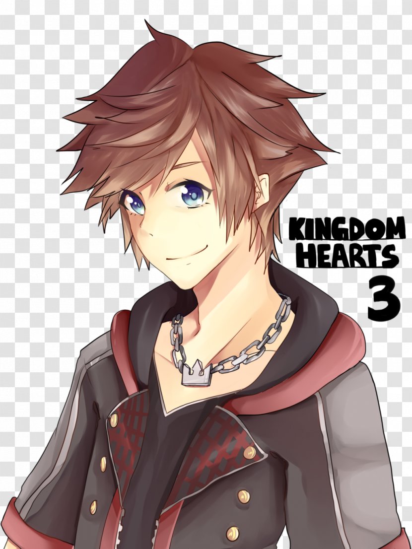 Kingdom Hearts III Birth By Sleep Sora Kairi - Frame - Tree Transparent PNG