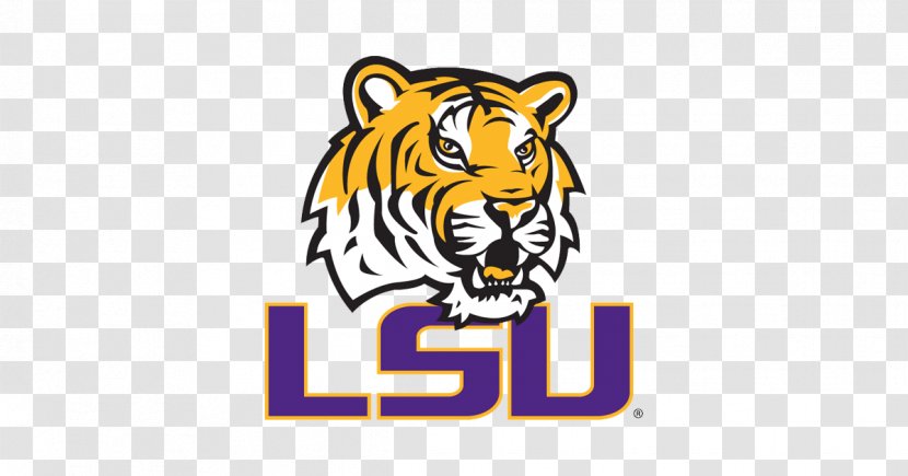 LSU Tigers Football Louisiana State University Men's Basketball Baseball Women's Soccer - Lsu Men S Transparent PNG