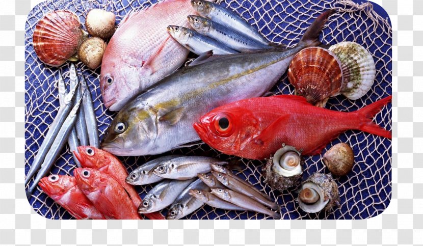 Fish Seafood Atlantic Salmon - Organism Transparent PNG