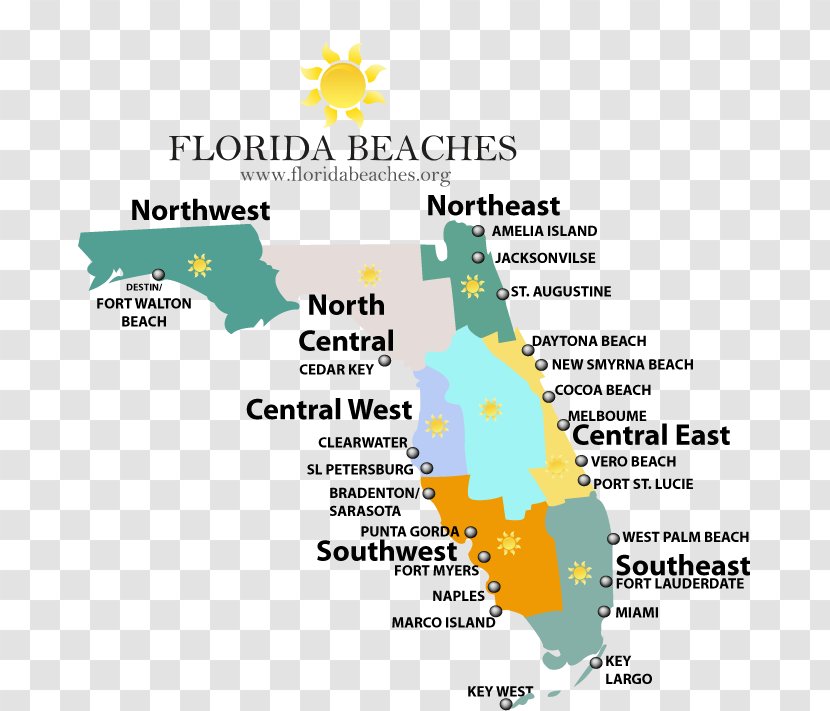 Jacksonville Beaches Destin Miami Beach Map - Tree - Of Florida Cities Transparent PNG
