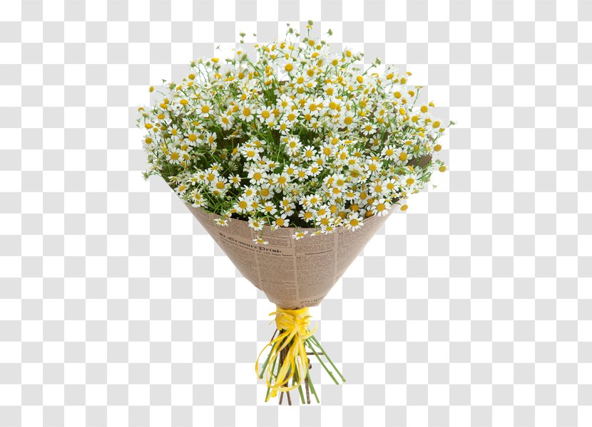 Cut Flowers Flower Bouquet German Chamomile - Saint Transparent PNG