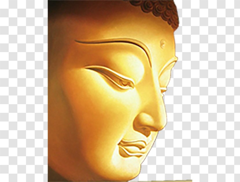Shakya Buddhism Nirvana Bodhisattva - Head - Buddha Statue Transparent PNG