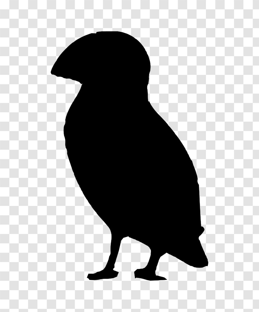 Silhouette Puffin Black And White Beak Transparent PNG