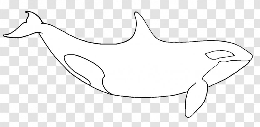 Killer Whale Penguin Drawing Clip Art - Heart - Whales And Kids Transparent PNG