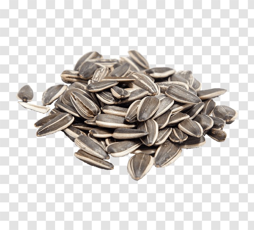 Sunflower Seed Common Eating Food - Nut - Salt Transparent PNG