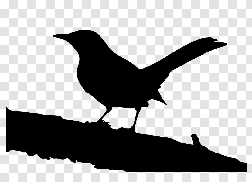 To Kill A Mockingbird Jean Louise 'Scout' Finch Clip Art - Fauna - Birds Tree Transparent PNG
