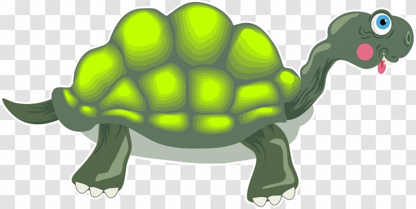 Turtle The Tortoise And Hare Clip Art - Terrestrial Animal Transparent PNG