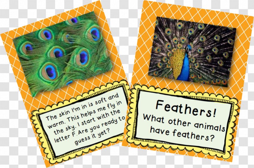 Feather Tail Pavo Mag-Neato - Magneato - Animal Skin Transparent PNG