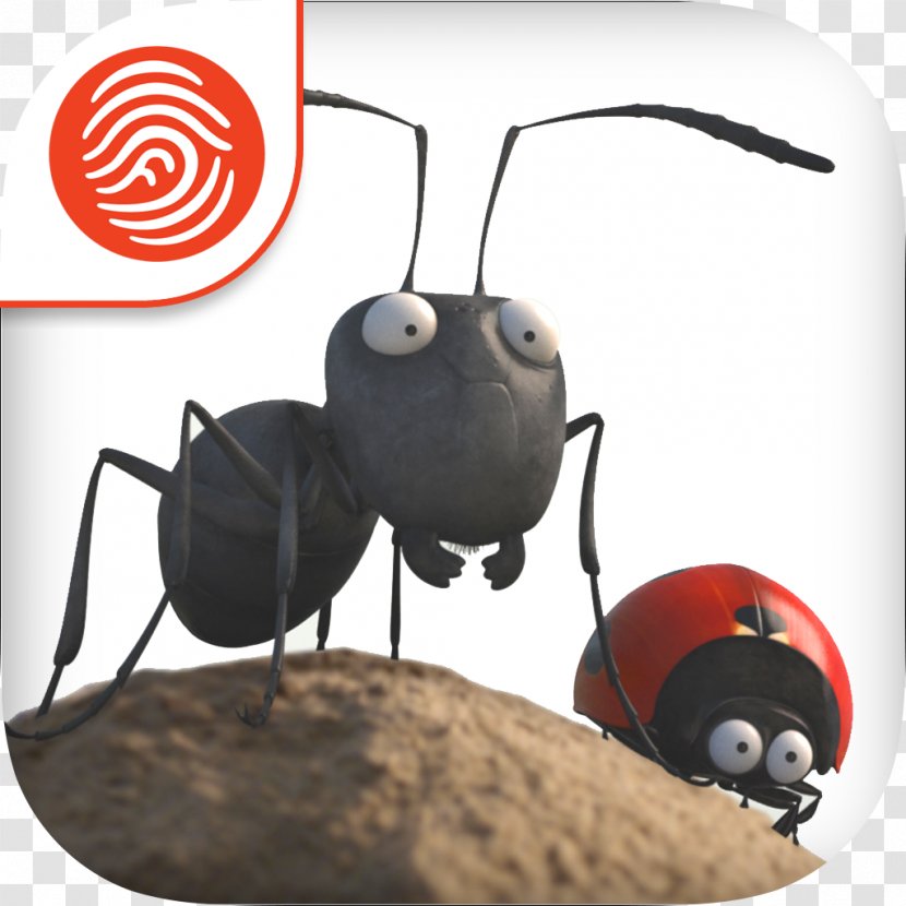 Ant Bunny Math Race Insect Wonder Math: 1st Grade Film - Animation Transparent PNG