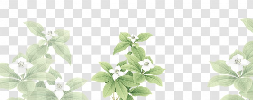 Image Design Photograph Drawing - Branch - Flower Transparent PNG