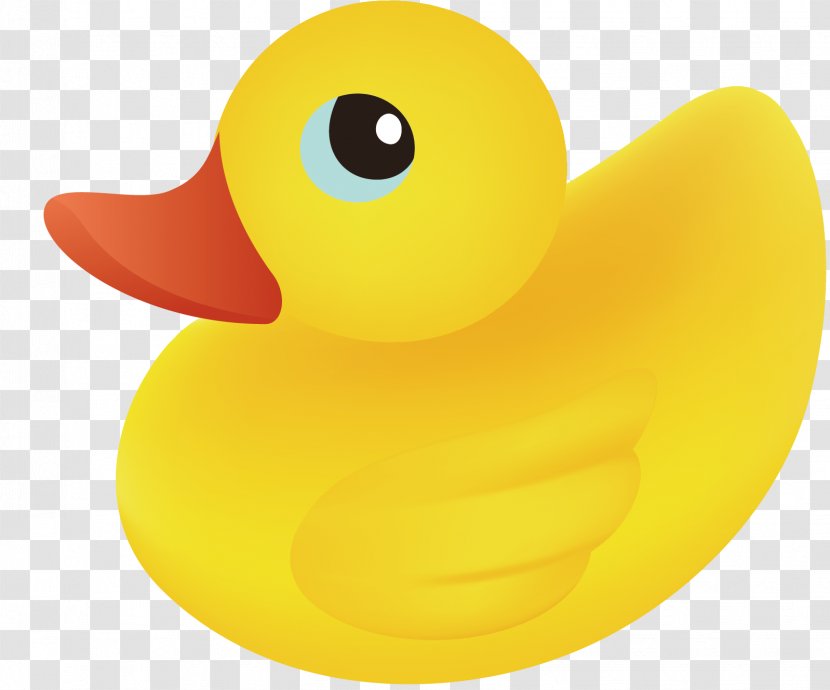 Duck - Ducklings Vector Material Transparent PNG