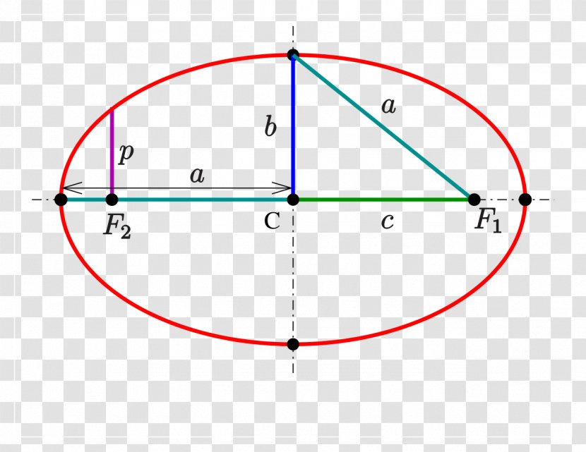 Circle Latus Rectum Ellipse Côté Droit Mathematics - Symmetry Transparent PNG