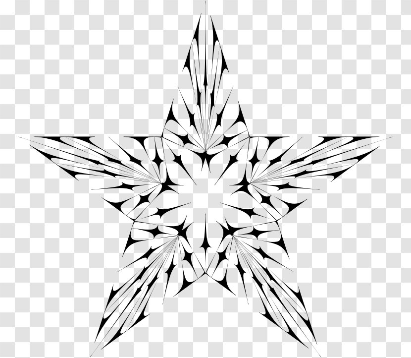 Black And White Star Transparent PNG