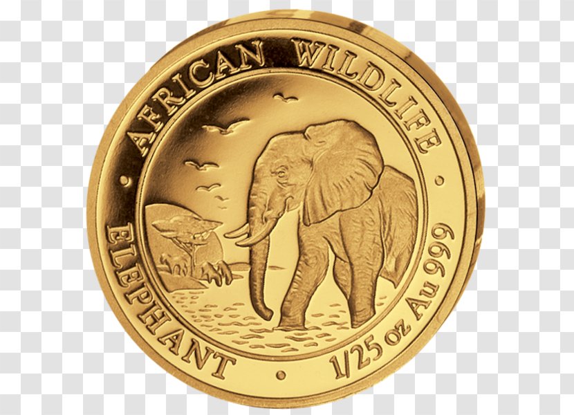 Indian Elephant Coin Gold African Transparent PNG