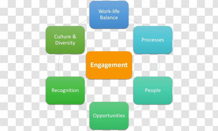 Employee Engagement Management Business Organization Leadership Transparent PNG