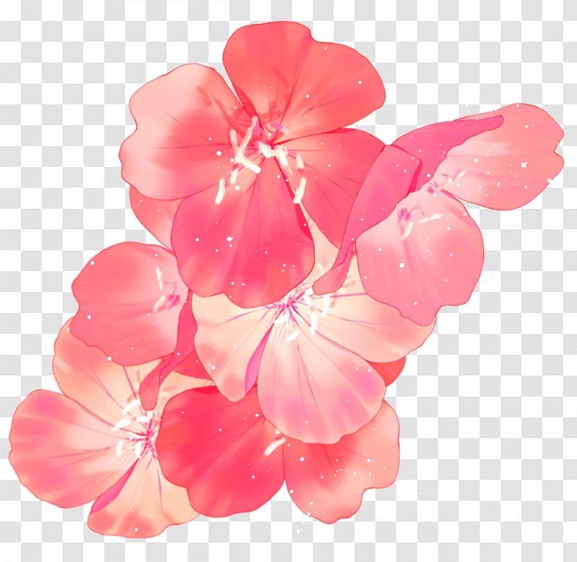 ST.AU.150 MIN.V.UNC.NR AD Cherry Blossom Geraniales Cherries - Petal Transparent PNG