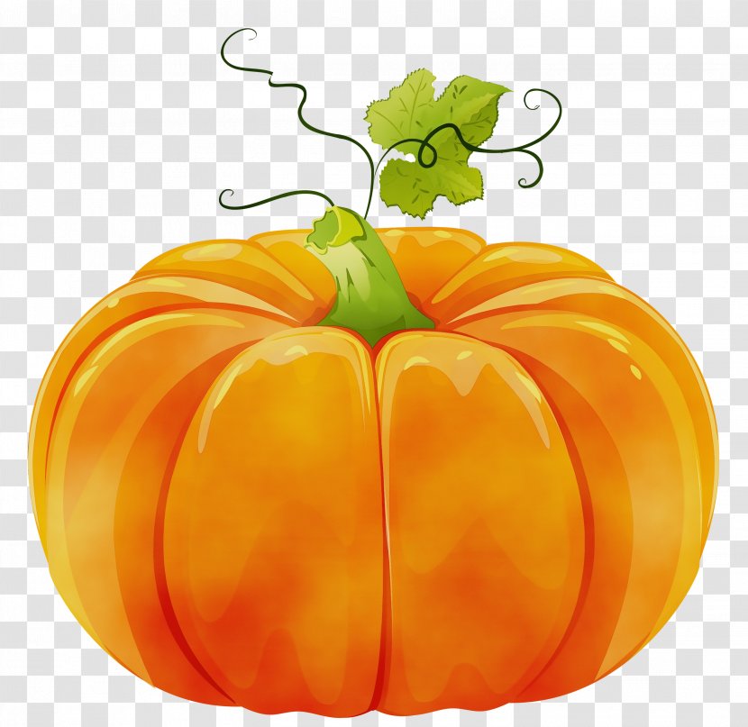 Watercolor Natural - Crookneck Pumpkin - Vegan Nutrition Winter Squash Transparent PNG