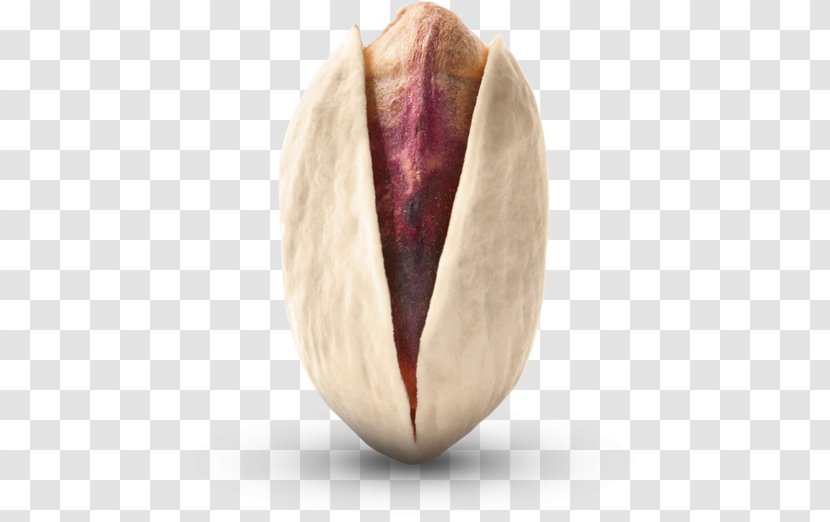 Pistachio Nut Dried Fruit Apricot Vaisiaus Kauliukas Transparent PNG