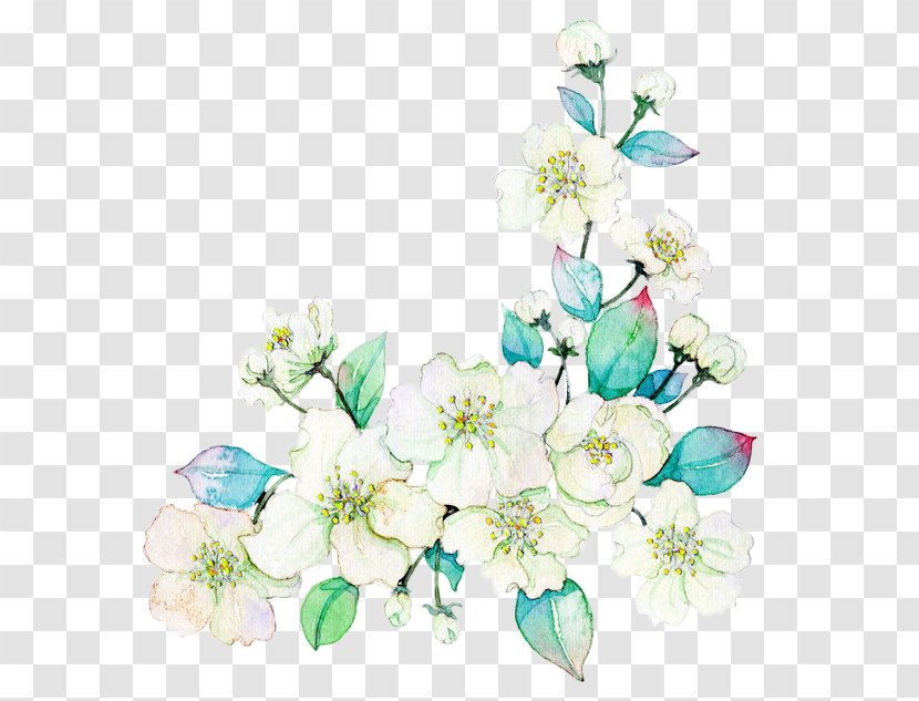 Watercolor Painting Flower Download Illustration - Petal - White Flowers Transparent PNG