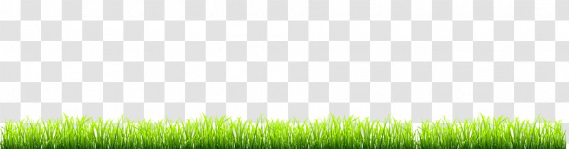 Lawn Desktop Wallpaper Grassland Grasses Computer - Plant Transparent PNG