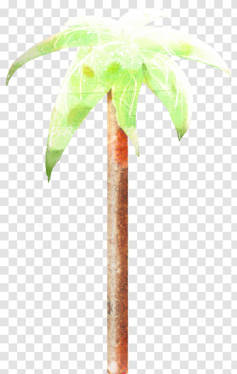 Cartoon Palm Tree - Plant - Arecales Woody Transparent PNG