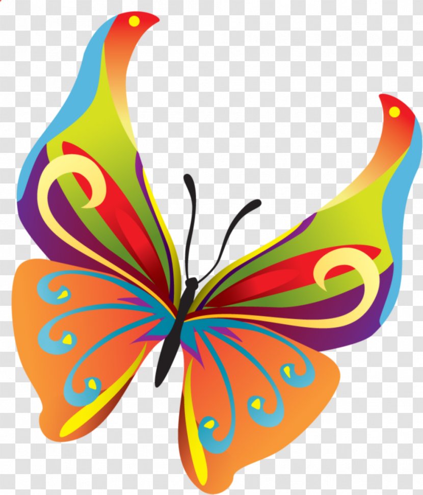 Butterfly Insect Clip Art - Teal Frame Transparent PNG