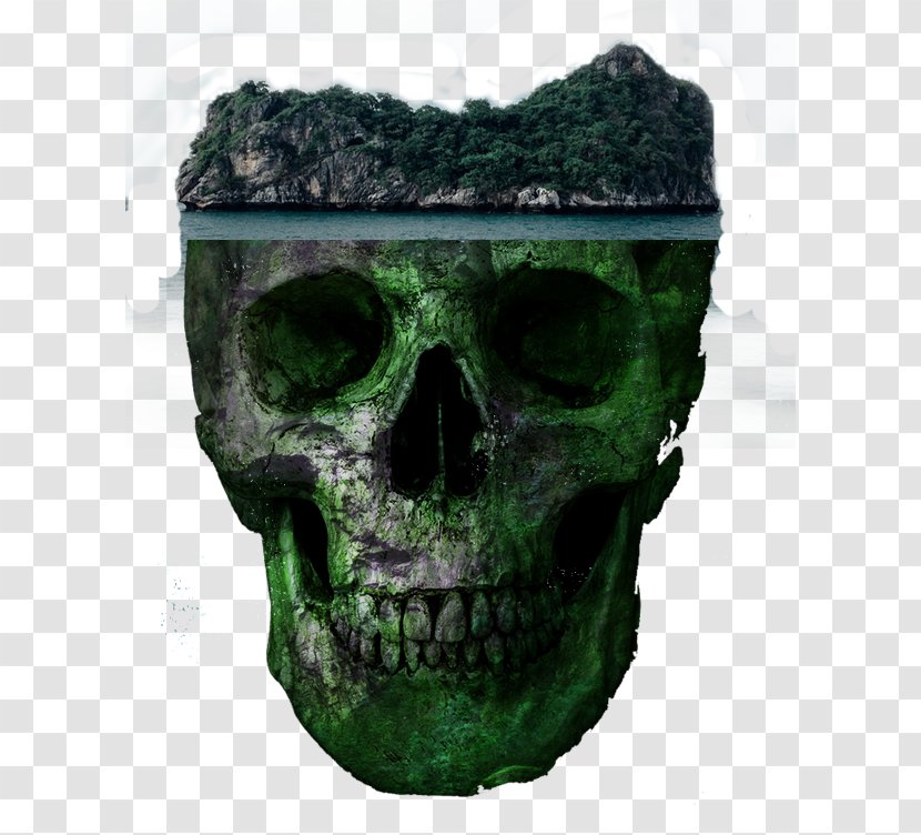 Skull Euclidean Vector - Head - Horror Transparent PNG