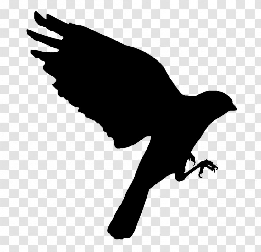 Cartoon Baby Bird - Decal - Blackandwhite Crow Transparent PNG