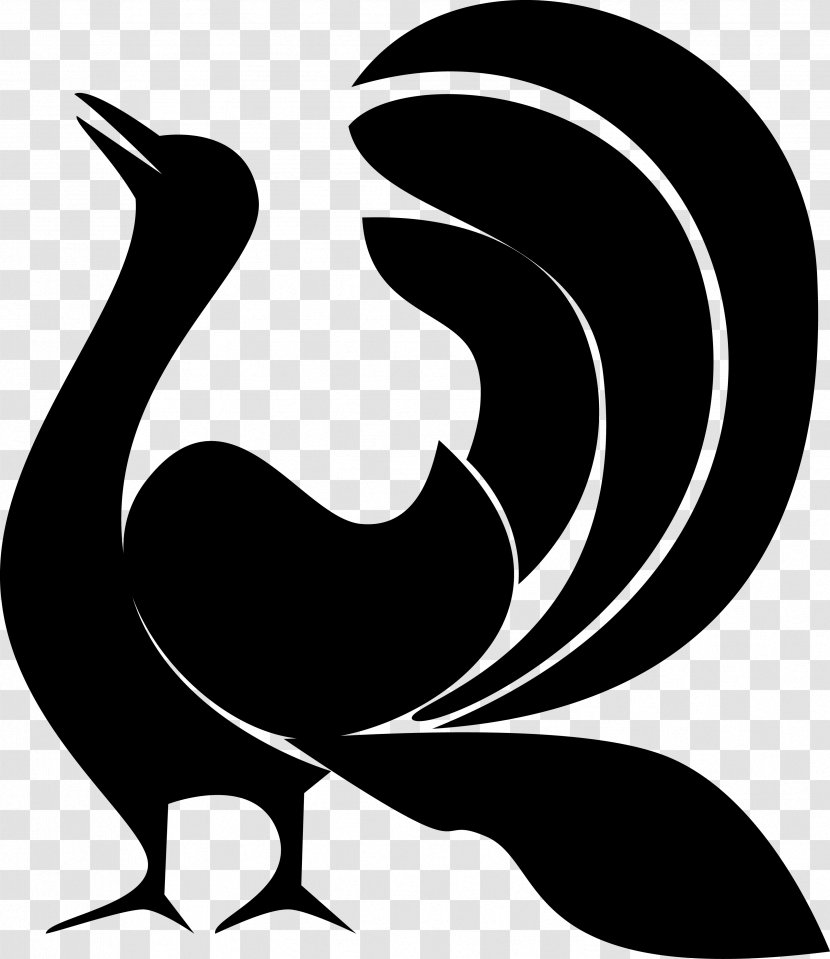 Rooster Chicken Cygnini Anatidae Duck - Monochrome Photography Transparent PNG