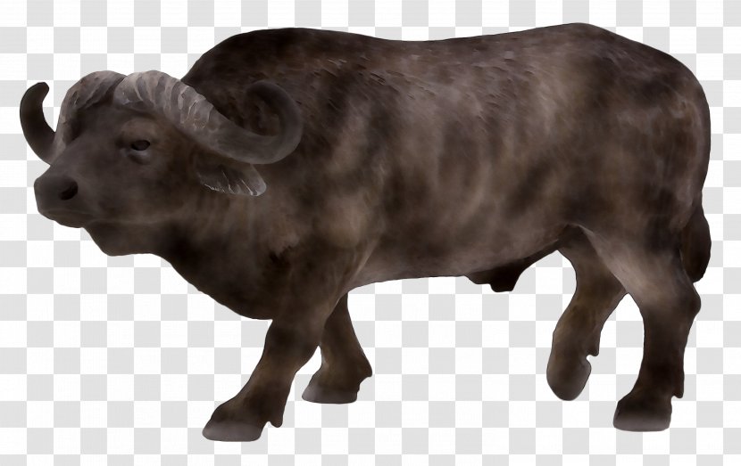 Water Buffalo Tim's Toy Farm Schleich Cattle - Farmhouse Transparent PNG