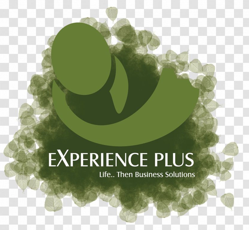 Logo Green Brand Font - Work Experience Icon Transparent PNG