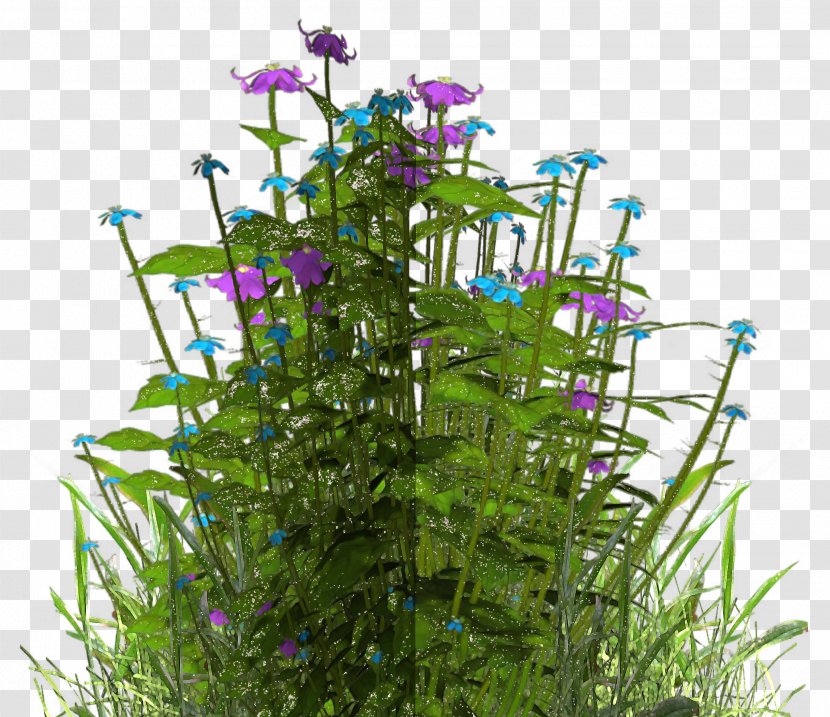 Flower Purple Herb Shrub - Plant - Enchanted Atmosphere Transparent PNG