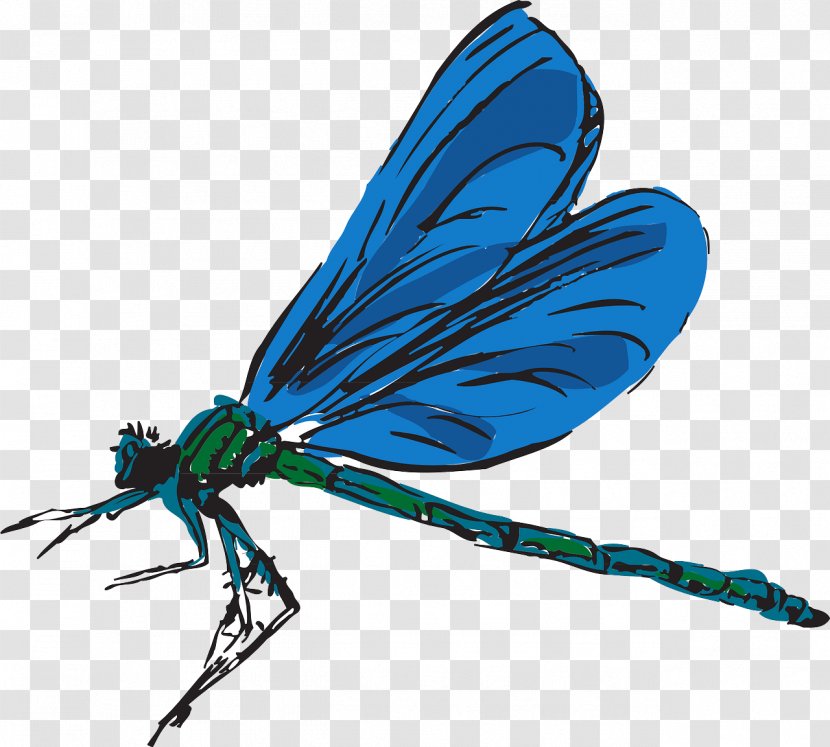 Free Content Clip Art - Blue Dragonfly Transparent PNG