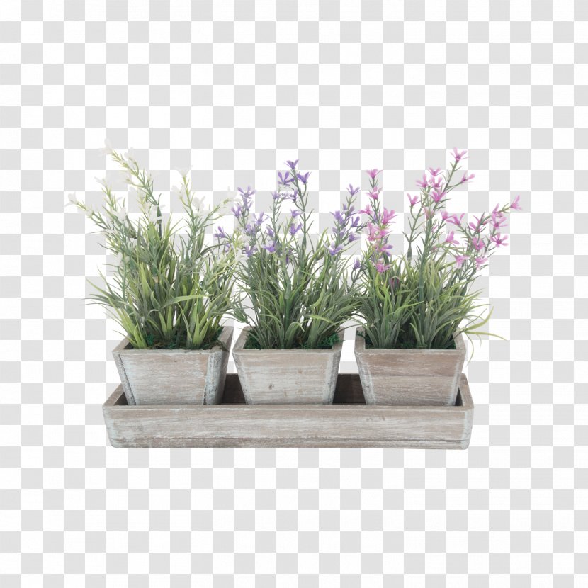 Herb Flowerpot Rectangle Lavender - Macetas Transparent PNG