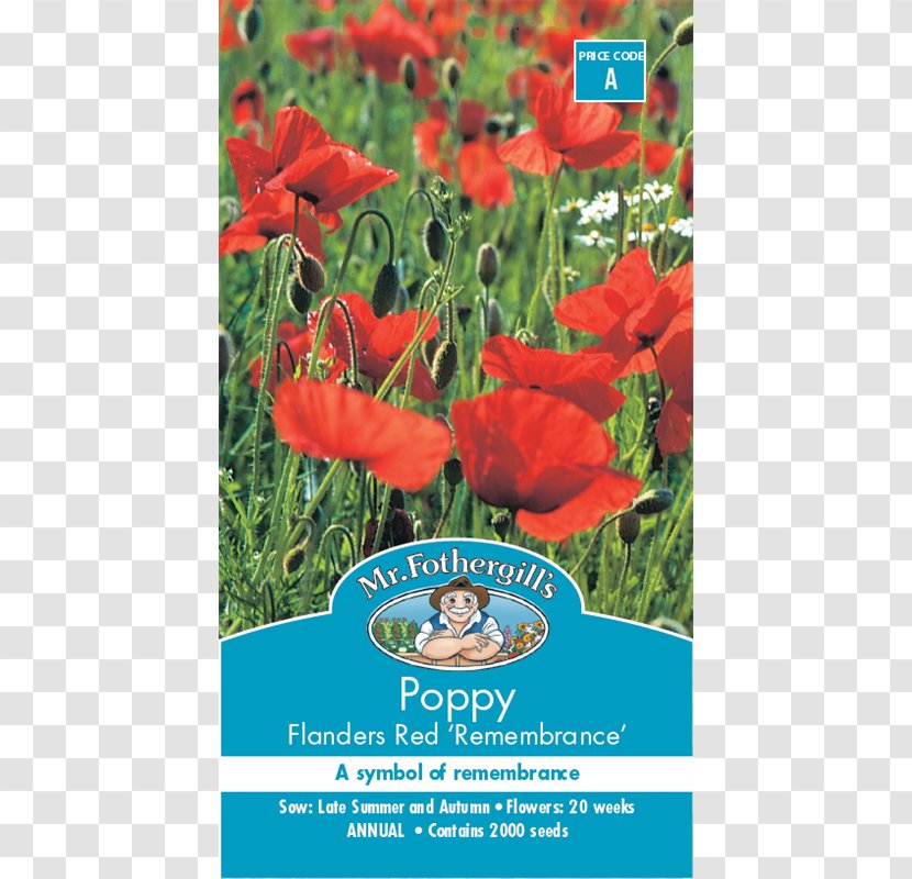 Poppy Seed Flower Remembrance - Bunnings Warehouse Transparent PNG
