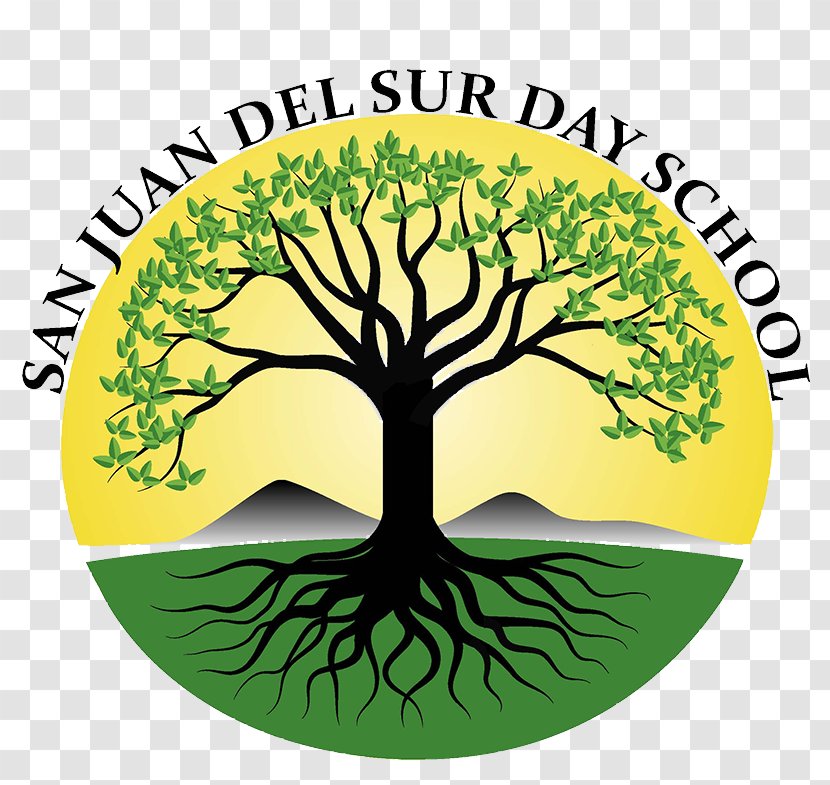 San Juan Del Sur Playa Marsella Student Day School Clip Art - Green - Logo America Transparent PNG