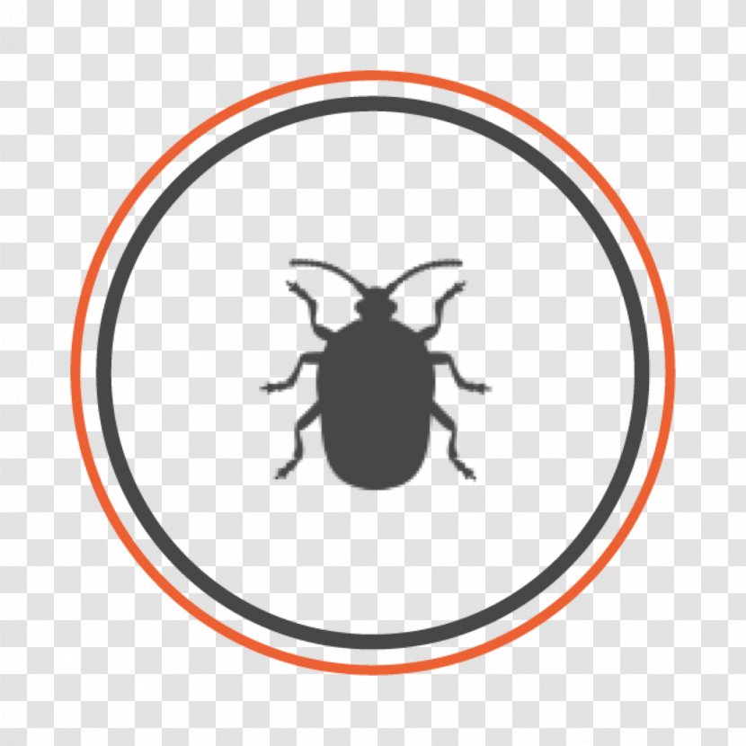 Beetle Allgood Pest Solutions Brown Marmorated Stink Bug Bed Transparent PNG