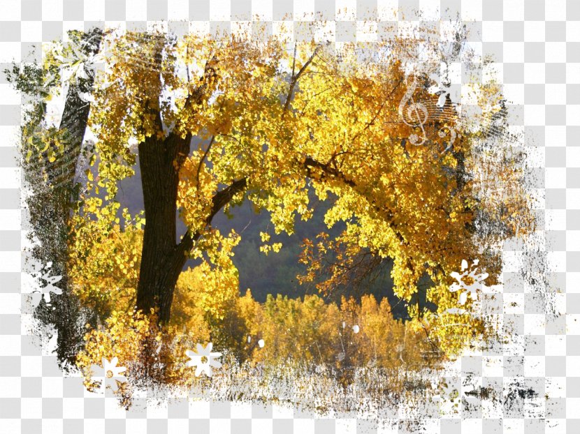 Desktop Wallpaper Mobile Phones Autumn High-definition Television Wide XGA - Xga Transparent PNG