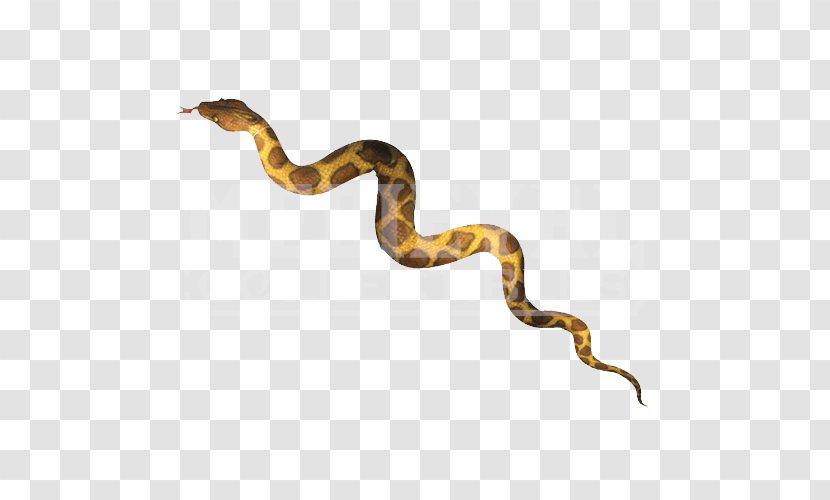 Boa Constrictor Snake Reticulated Python Venom Animal - Terrestrial Transparent PNG