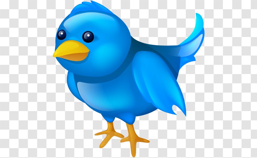 Social Media Blog Clip Art - Animal Figure - Bird Cartoon Transparent PNG