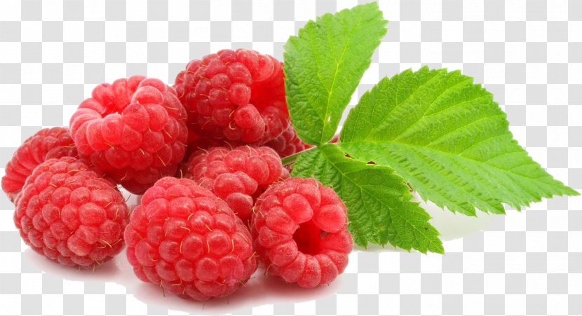 Tart Fruit Raspberry Vegetable - Cranberry - Raspberries Transparent PNG