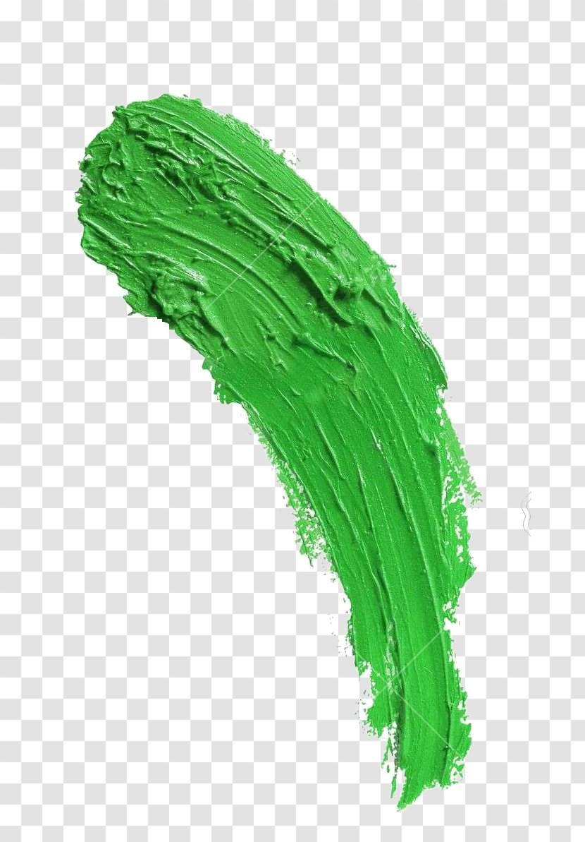 Painting Texture Paintbrush - Vegetable - Paint Transparent PNG