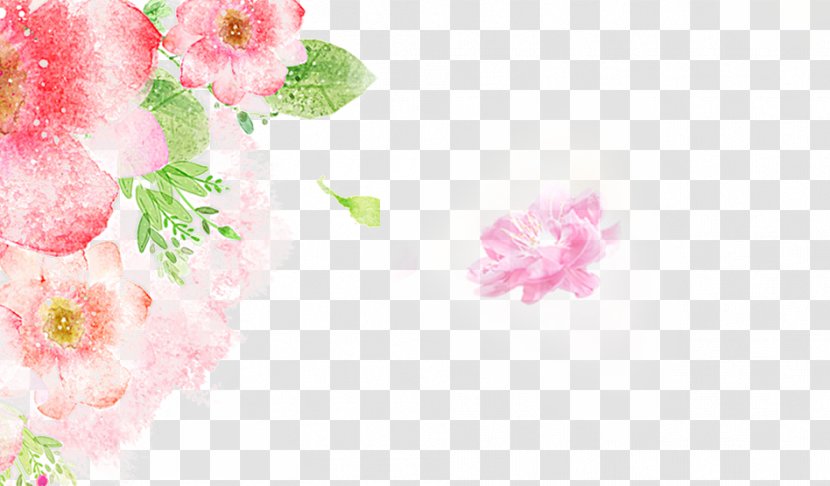 Floral Design Flower Pink - Rose Family - Red Flowers Transparent PNG