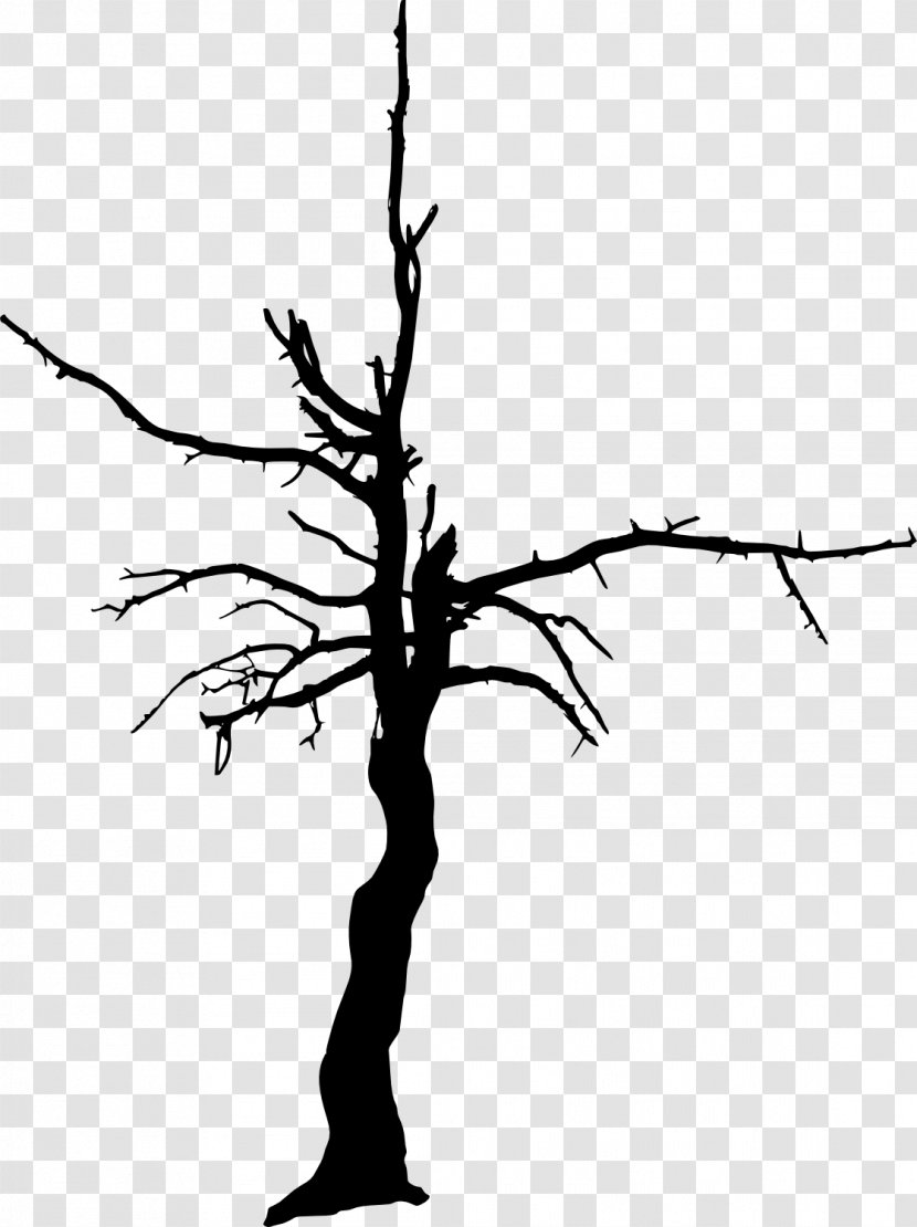 Tree Woody Plant Clip Art - Photography - Dead Transparent PNG