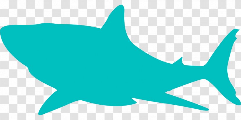 Shark Jaws Fish - Sharks Transparent PNG