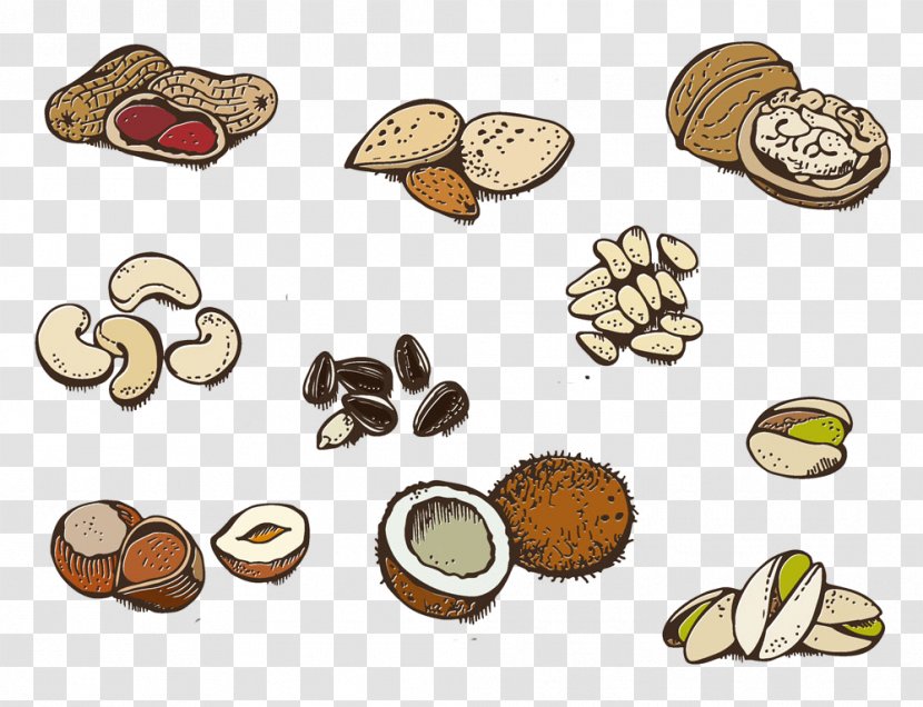 Clip Art Vegetarian Cuisine Nut Image Illustration - Dried Fruit - Design Transparent PNG