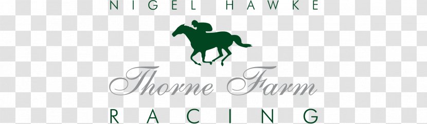 Horse Racing Stoodleigh Farm Transparent PNG