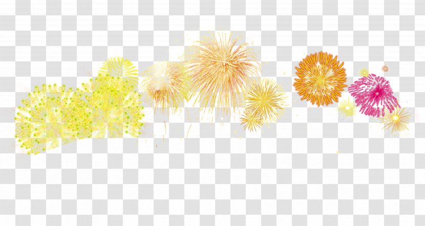 Graphic Design Text Petal Illustration - Colorful Fireworks Bursting Element Transparent PNG
