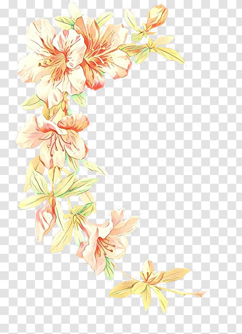 Cut Flowers Plant Flower Pedicel Transparent PNG