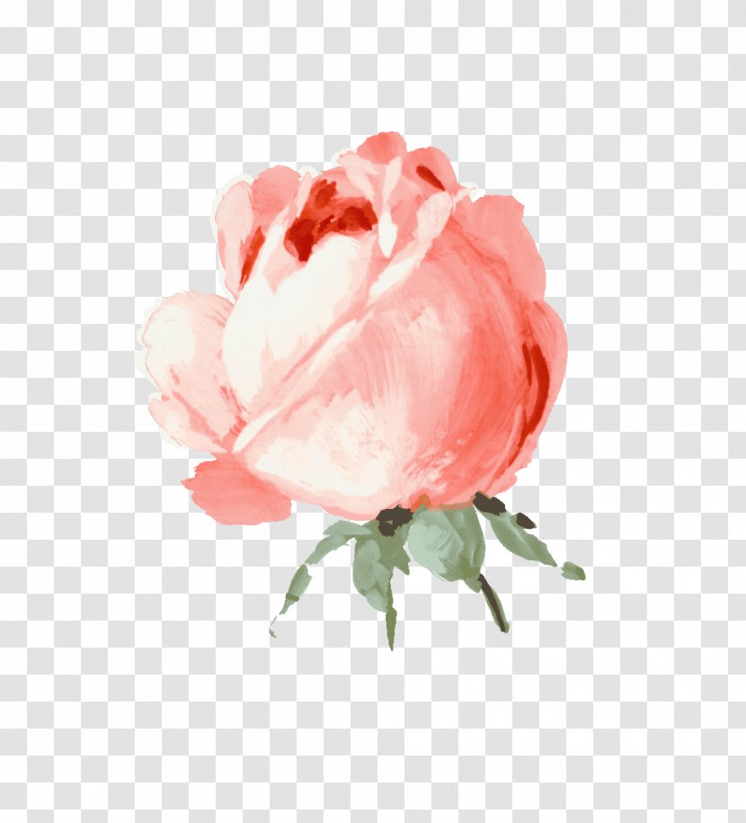 Garden Roses Still Life: Pink Clip Art - Life - Adorable Flower Transparent PNG